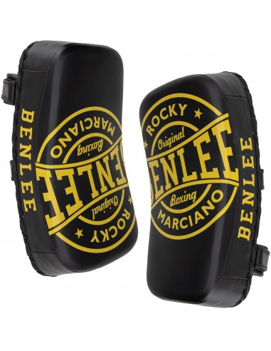 Top BENLEE Bintan forearm braces: Optimum punch & kick training!