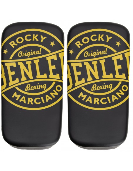 Top BENLEE Bintan forearm braces: Optimum punch & kick training!