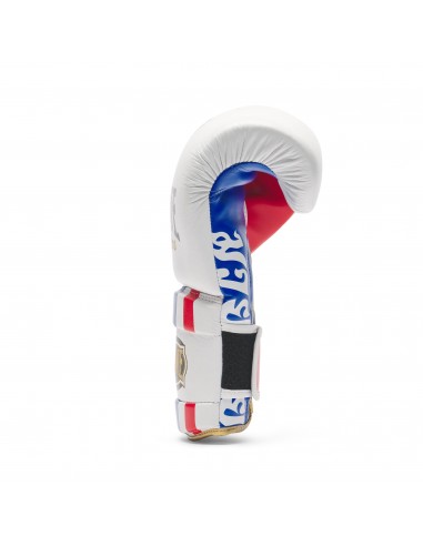 MuyaThai Gants de boxe - Leone Thai Style acheter en ligne