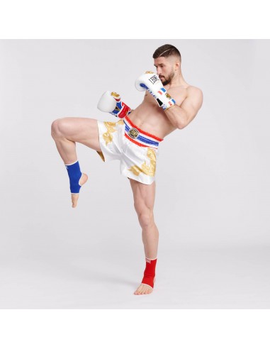 Guantoni da boxe MuyaThai - Leone Thai Style acquista online