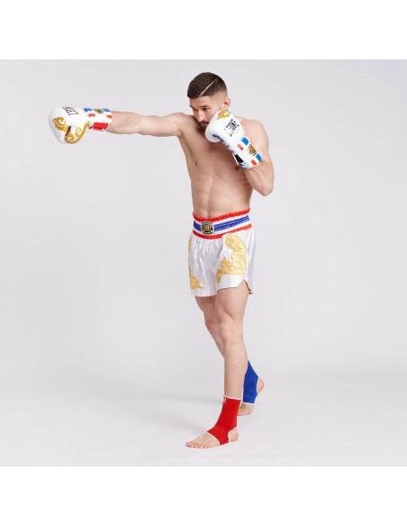 MuyaThai Boxing Gloves - Leone Thai Style buy online