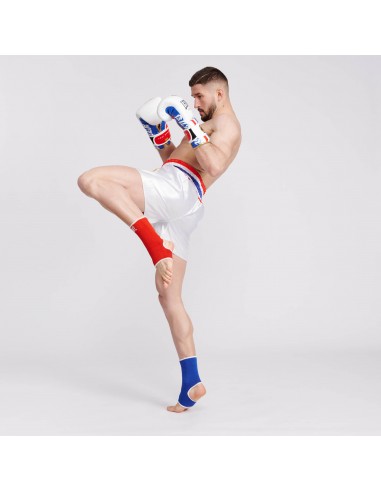 Guantoni da boxe MuyaThai - Leone Thai Style acquista online