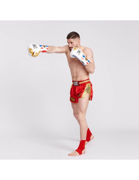 MuyaThai Boxing Gloves - Leone Thai Style buy online