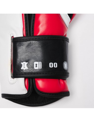 Leone Boxhandschuhe Il Tecnico N3 GN113 Rot