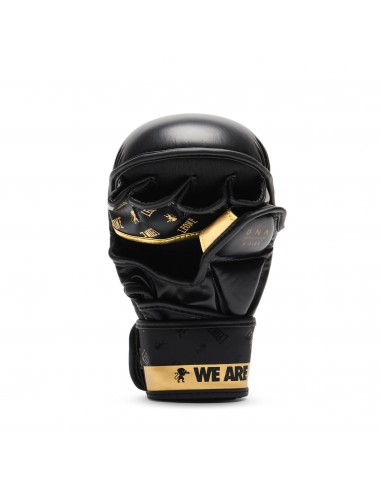 MMA Sparring Gloves - Leone DNA buy in Swiss online shop