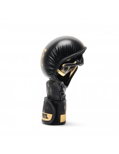 MMA Sparring Gloves - Leone DNA buy in Swiss online shop
