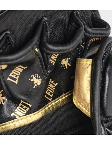 MMA Sparring Gloves - Leone DNA buy in Swiss online shop