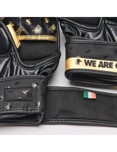 Acheter des gants de sparring MMA - Leone DNA dans la boutique en ligne suisse