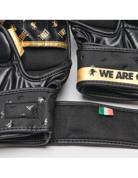 MMA Sparring Gloves - Leone DNA buy in Swiss online shop