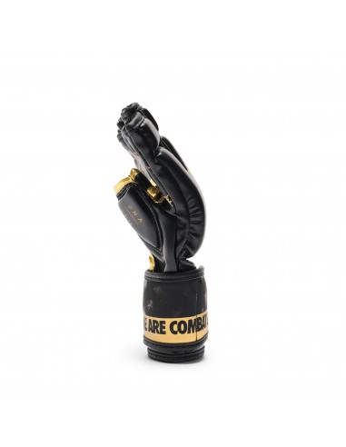 Discover the revolutionary GP133 Leone MMA gloves DNA