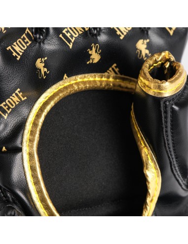 Discover the revolutionary GP133 Leone MMA gloves DNA