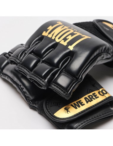 Discover the revolutionary GP133 Leone MMA gloves DNA