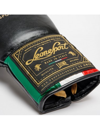 Leone Sport Boxhandschuhe Orlando Tricolore Laced GN003L