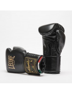 Sport Boxhandschuhe Orlando Tricolore GN003V