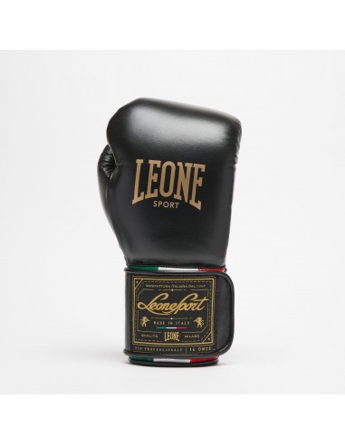 Sport Boxhandschuhe Orlando Tricolore GN003V