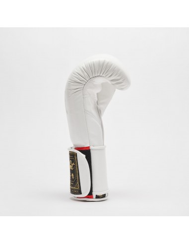 Sport Boxhandschuhe Orlando Tricolore GN003V