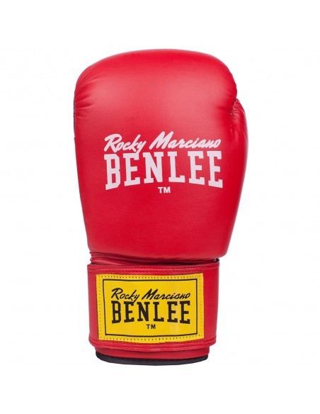 Boxing success with BENLEE RODNEY: children's boxing gloves for beginners