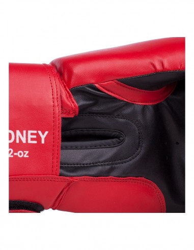 Il successo della boxe con BENLEE RODNEY: guantoni da boxe per bambini per principianti