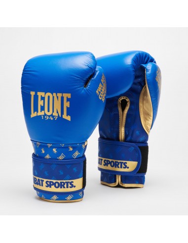 Leone Boxhandschuhe DNA GN220 Blau