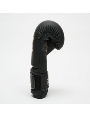 Leone1947 Acquista i guantoni da boxe Black Edition nel negozio online di swiss