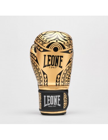 Discover the world of boxing with Haka boxing gloves in gold/black