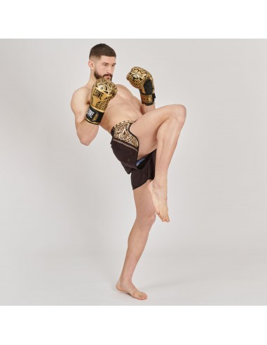 Scopri il mondo della boxe con i guanti da boxe Haka in oro/nero