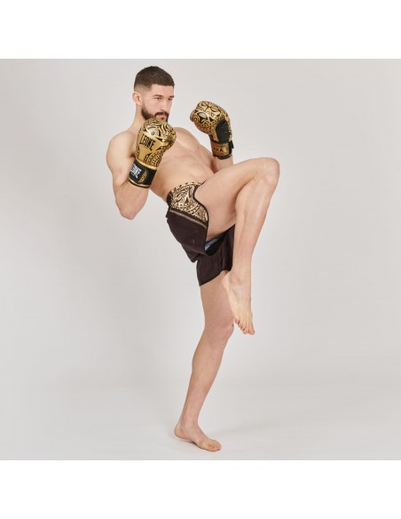 Découvre le monde de la boxe avec les gants de boxe Haka en or/noir