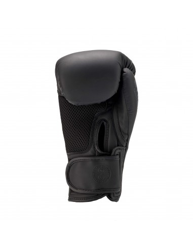 Maximum performance and comfort: buy Armaone boxing gloves