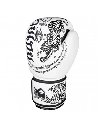 Powerful & stylish: Phantom boxing gloves for Muay Thai fighters