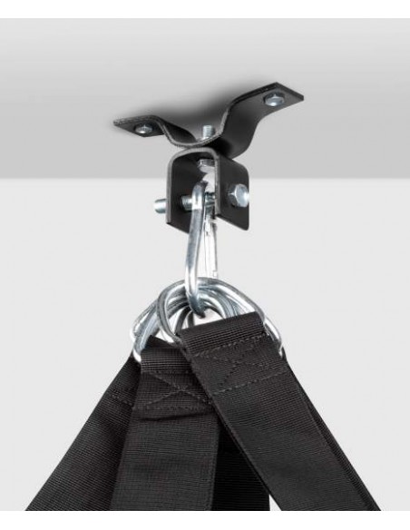 Fissaggio stabile e rotazione fluida: ganci a soffitto Ringhorn 360°