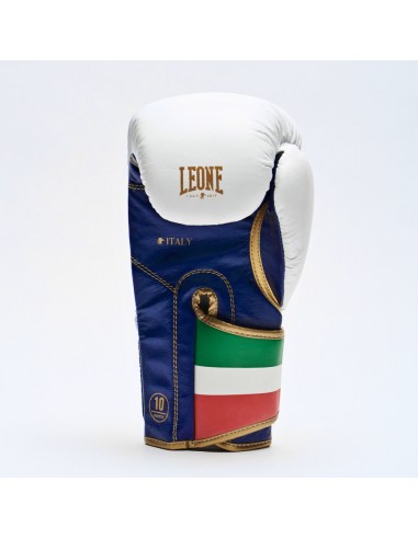 Leone Boxhandschuh Italy Weiss GN039