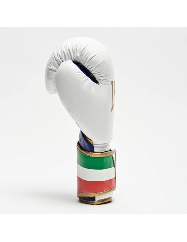 Leone Boxhandschuh Italy Weiss GN039