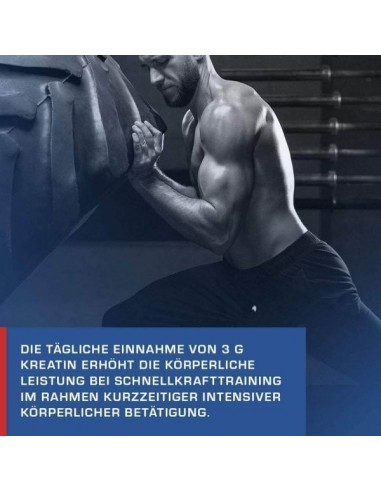 Acheter Creatine Pure - Weider Nutrition 600g dans la boutique en ligne suisse