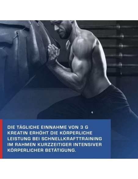 Creatine Pure - Weider Nutrition 600g buy in Swiss online shop