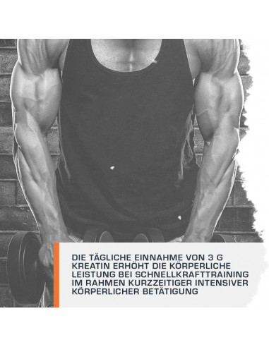 Weider Maximum Krea-Genic - Creatine buy in Swiss online shop