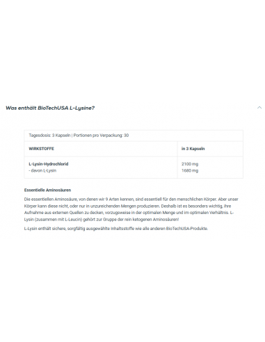 Bio Tech Usa  L-Lysine 90 Stk