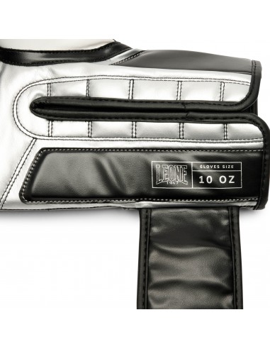 Your ideal training partner: Leone Iconic boxing gloves