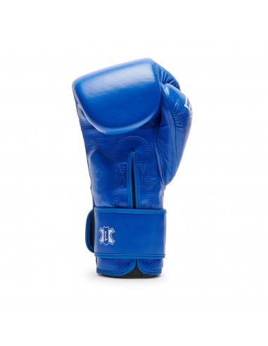 Perfect boxing gloves for professionals: The Greatest in blue