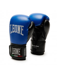 Boxing gloves for beginners: Leone Thunder in blue