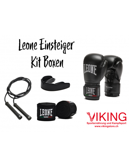 Kit Leone per principianti: perfetto per i principianti della boxe compra