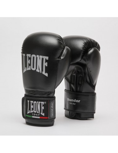 Perfekter Start: Leone Kickboxen Set für Einsteiger