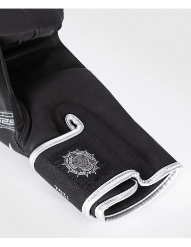 Combats comme un Romain : Venum Gladiator 5.0 Gants Boix de Venum