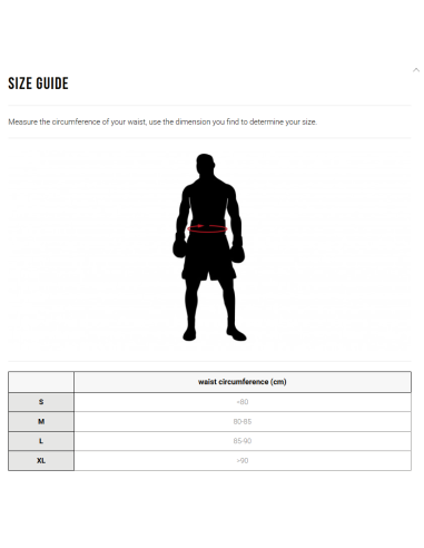 Leone1947 Pantaloncini da MMA - Basic da acquistare online