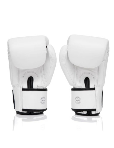 ONE Championship Gloves: Pure Fairtex quality