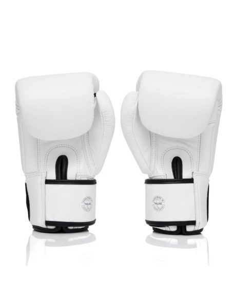 Fairtex Boxhandschuhe BGV1 One X Weiss