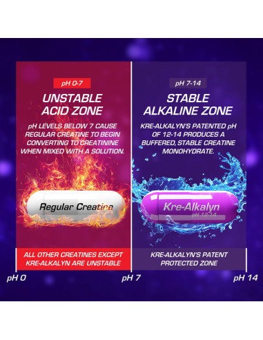 Acheter Kre-Alkalyn l'original de EFX Sports dans la boutique en ligne suisse