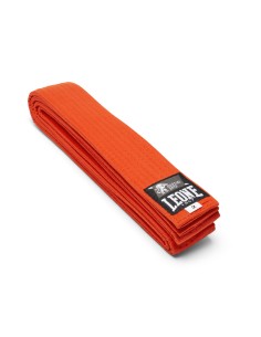 Leone Karate Gürtel - Kyū in verschiedenen Farben 2