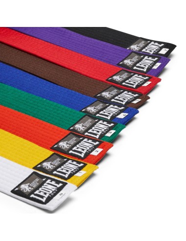 Leone Karate Gürtel - Kyū in verschiedenen Farben