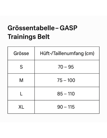 Buy Weightlifting Belt Gasp Training Belt in the swiss online shop
