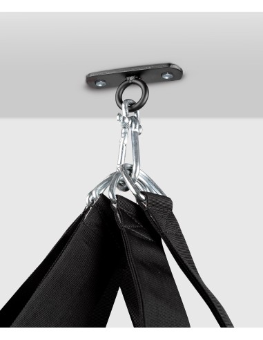 Punching bag attachment - buy ceiling mount for punching bag up to 60kg online